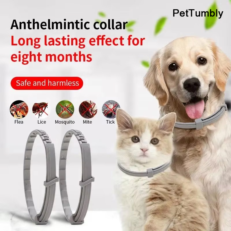 Pet Immune Pir Sensor - Kerah anjing keluaran baru, kerah kucing