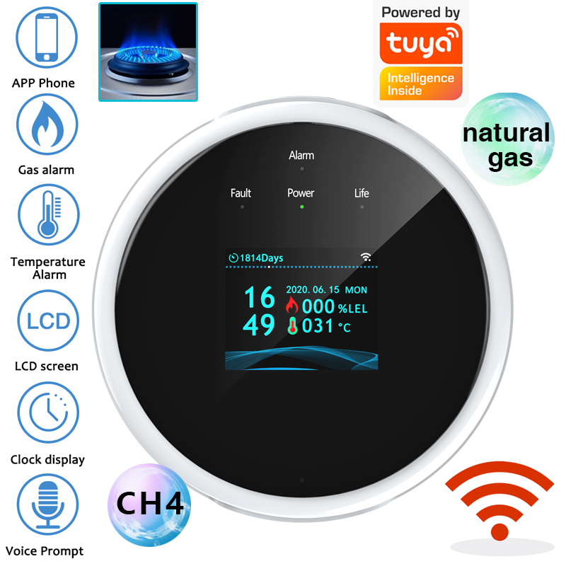 Home Security Gadgets - Sensor Alarm Gas WiFi 2.4G Detektor