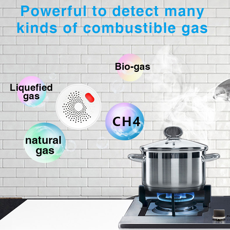 Sensor Gas Alam Tuya Smart Hom - Home Security Gadgets ulasan dan harga