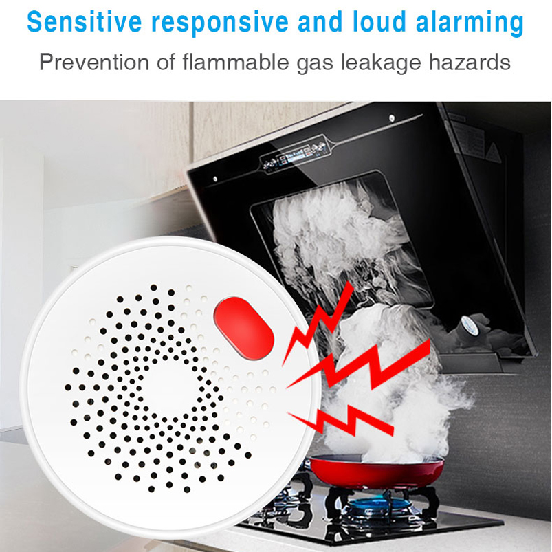 Sensor Gas Alam Tuya Smart Hom - Home Security Gadgets ulasan dan harga
