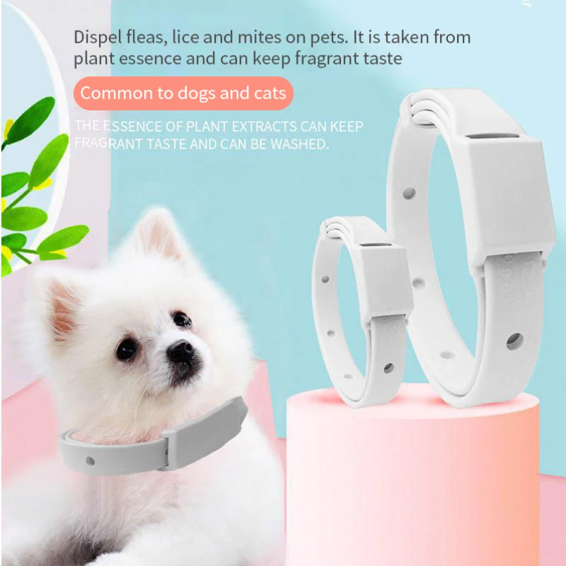 Kerah Kutu Anti Kutu untuk Kuc - Pet Immune Pir Sensor ulasan dan harga
