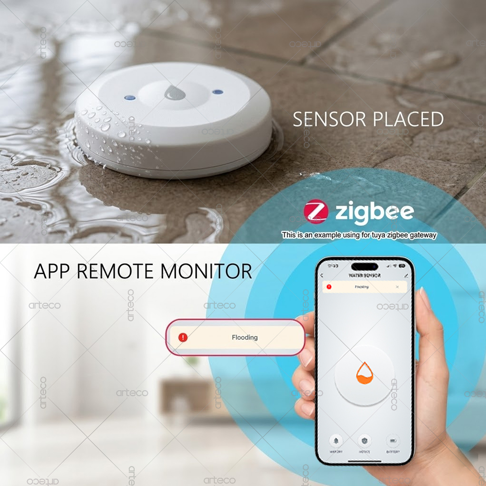 Detektor Kebocoran Air Zigbee  - Home Security Home Assistant ulasan dan harga