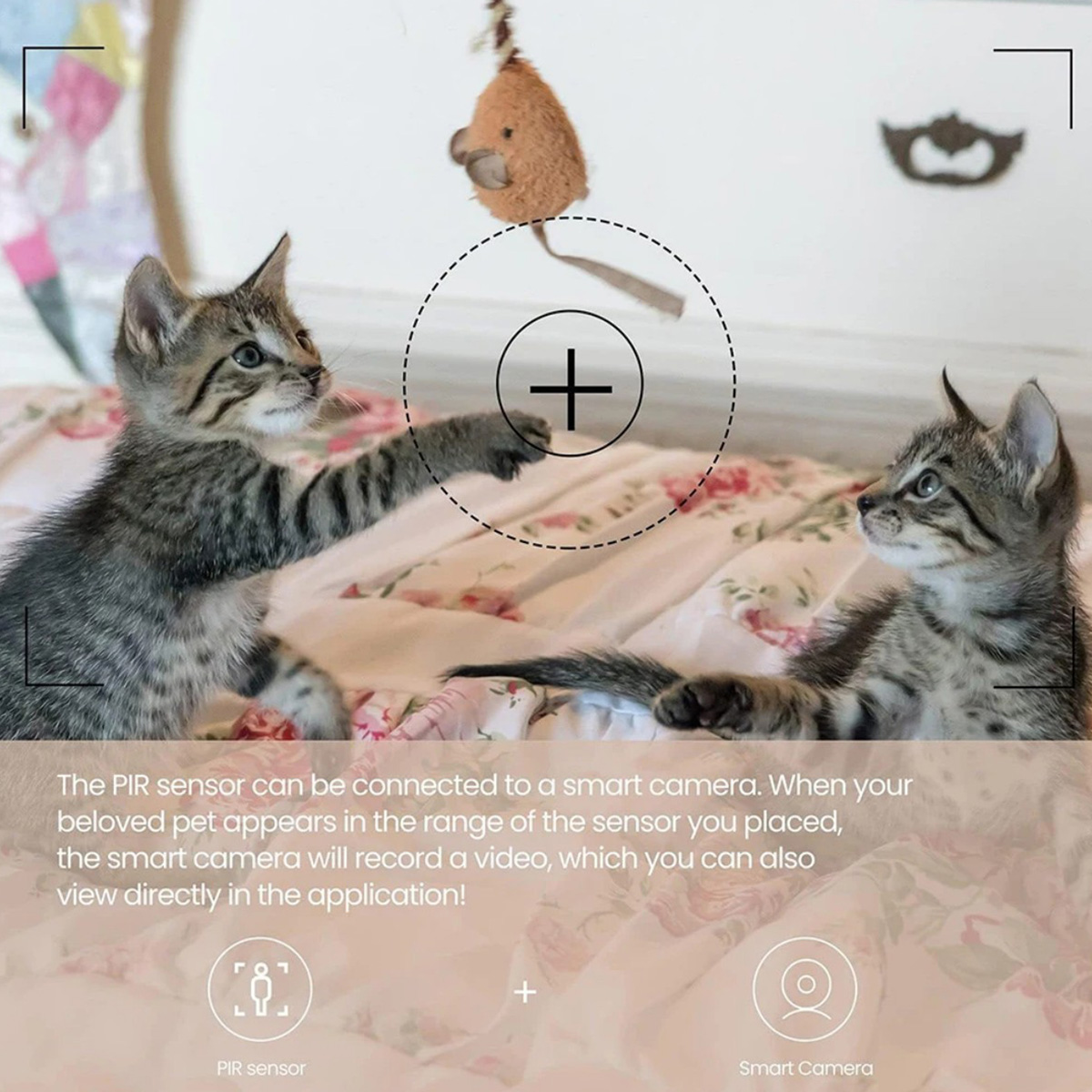 ZigBee 3.0 PIR Sensor Gerak Ni - Home Security Systems Wireless ulasan dan harga